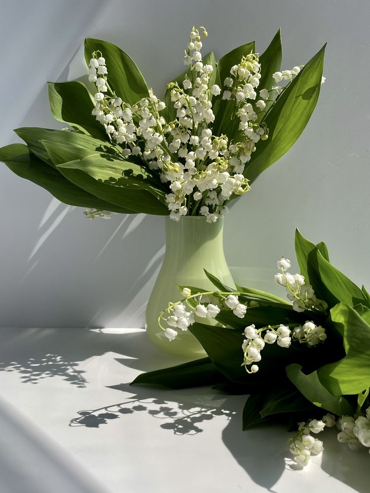 Фотография автора Рамзия Хисамутдинова