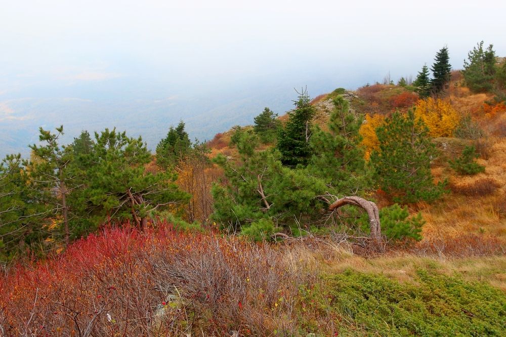 Photograph by Александр Глебов