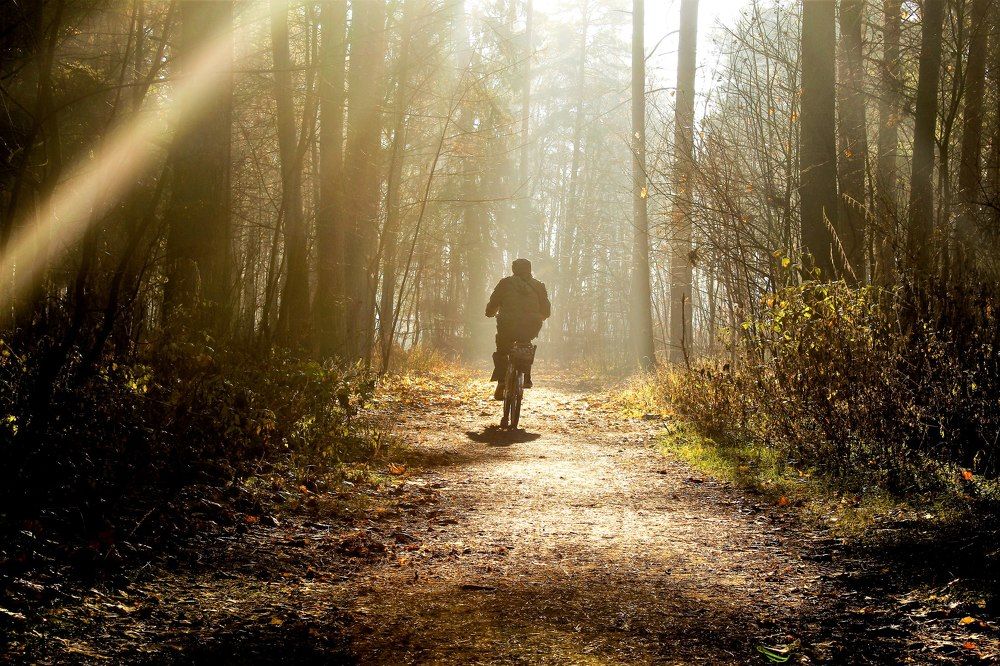 Photograph by Евгений Баранов