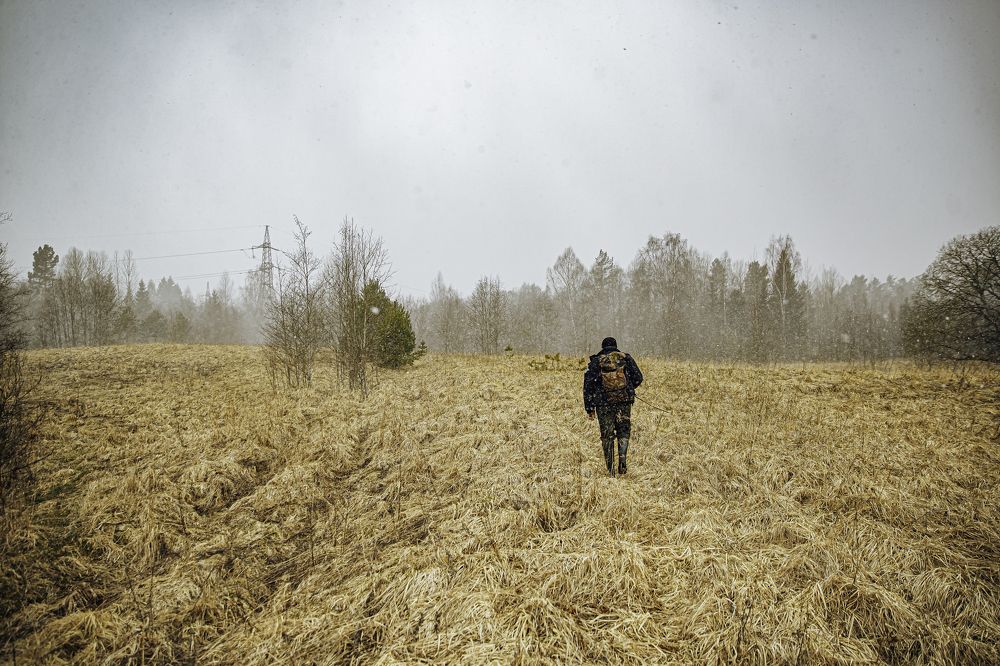 Photograph by Евгений Баранов