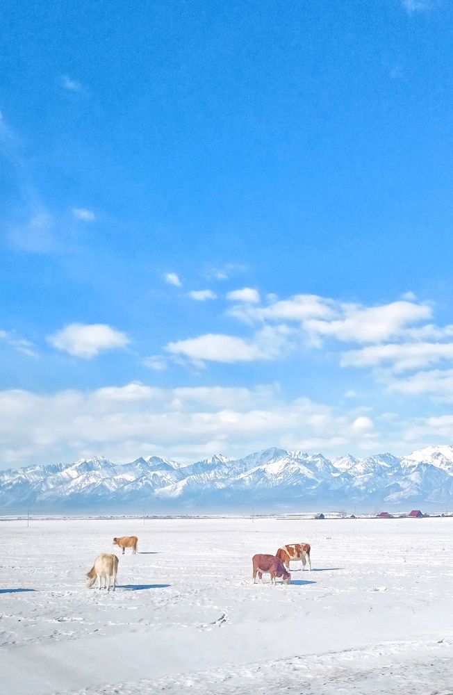 По дороге на Аршан