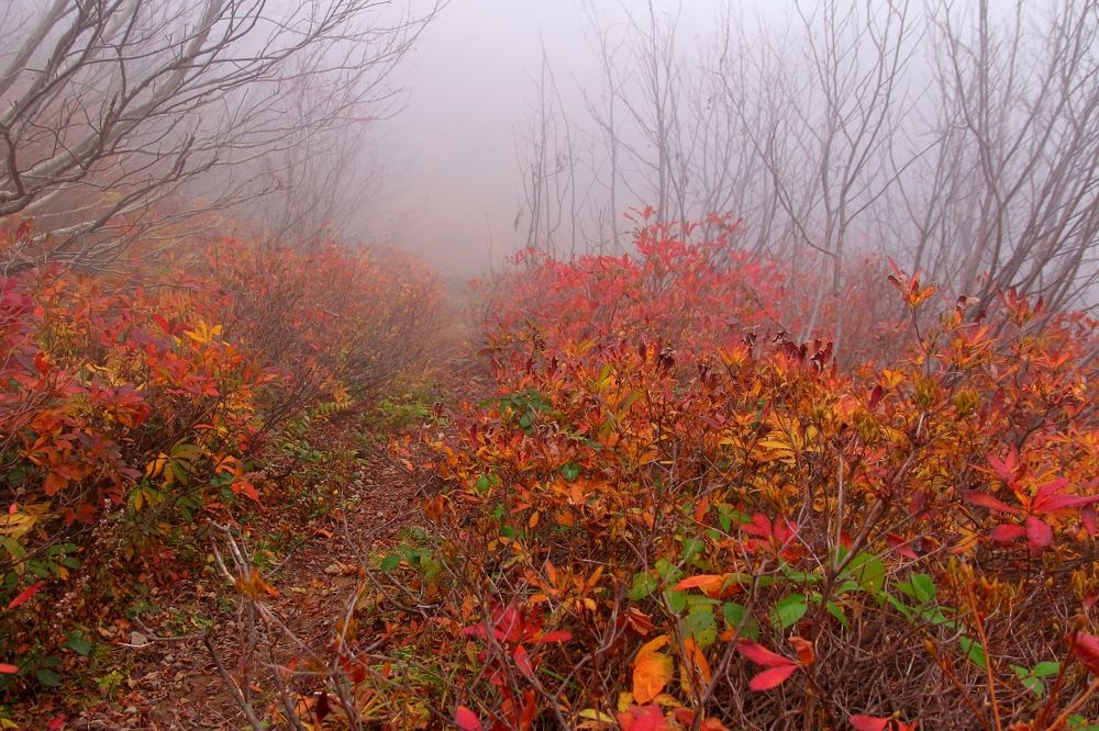 Photograph by Александр Глебов