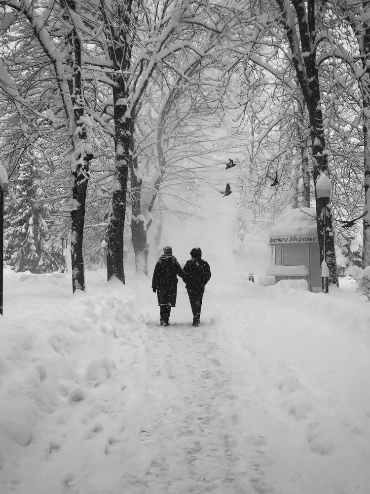 Photograph by Татьяна Семёнова