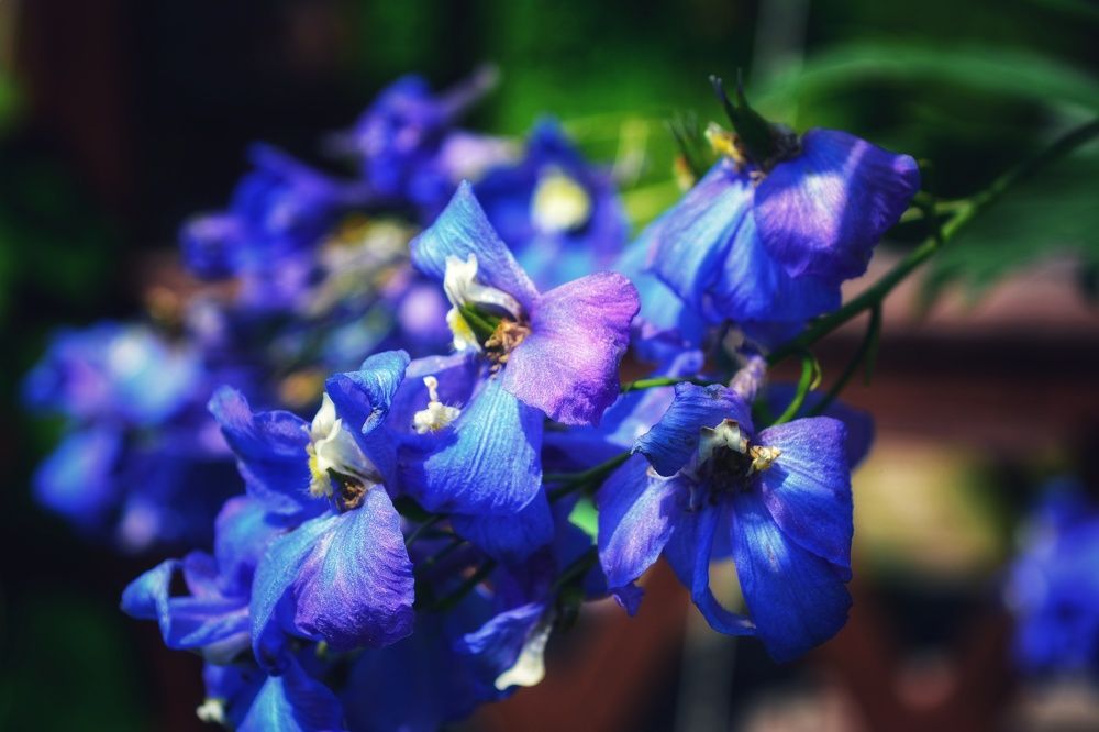 Photograph by Наталья Светлова