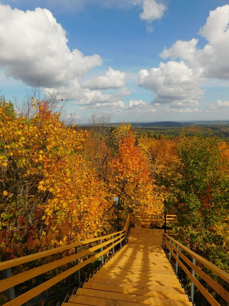 Photograph by Чкареули Светлана