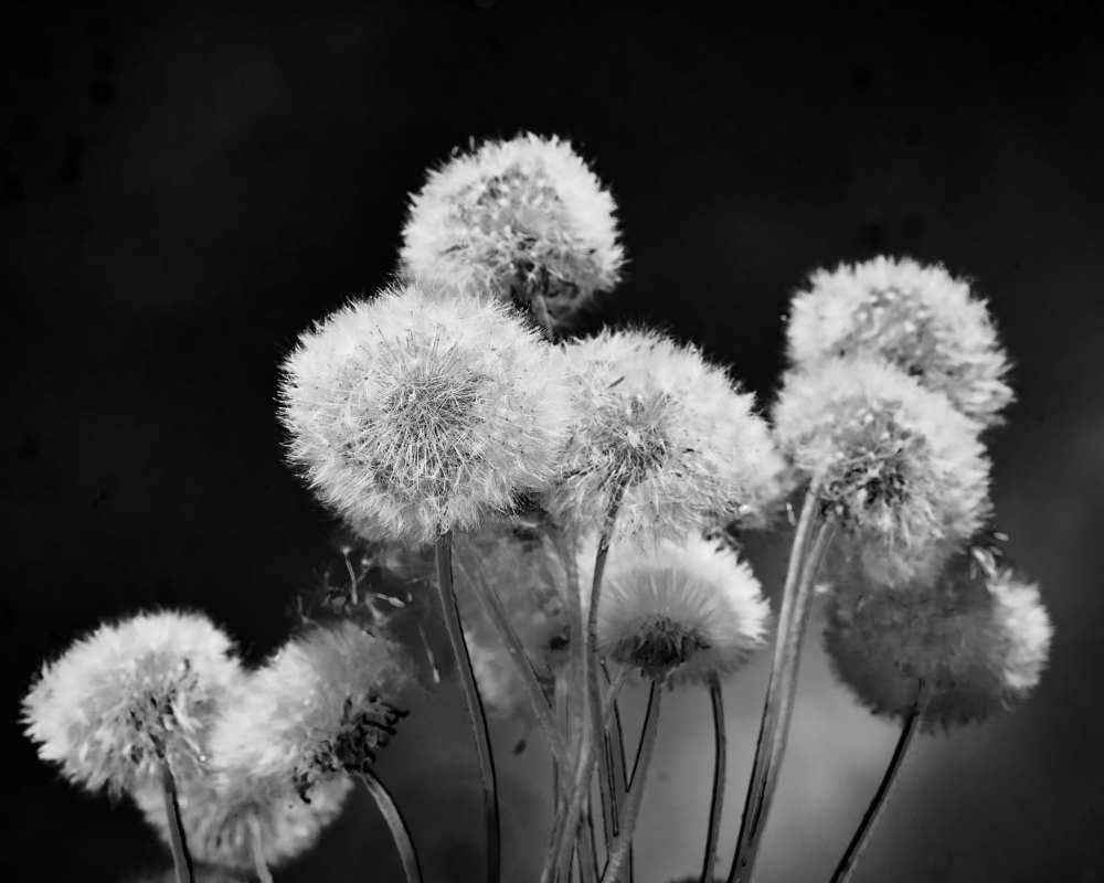 Photograph by Татьяна Блохина