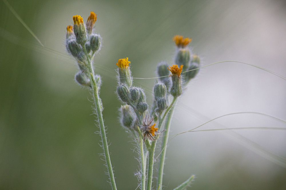 Фотография автора Потоцкий Вячеслав
