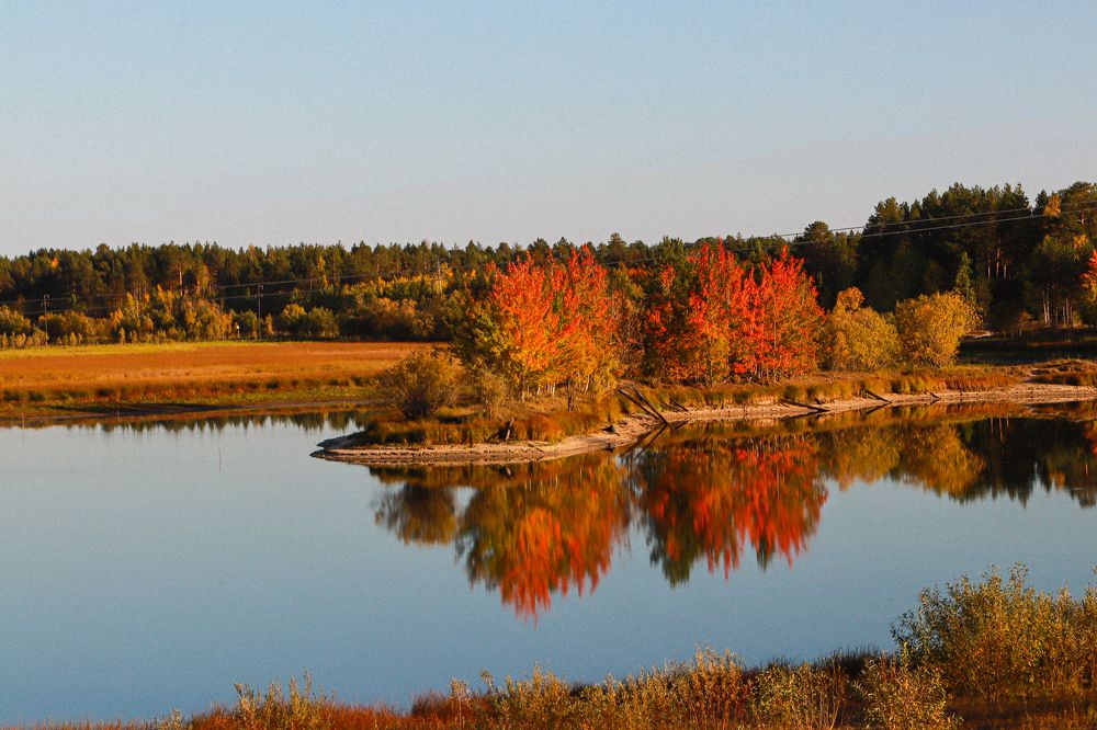Фотография автора Елена Разина