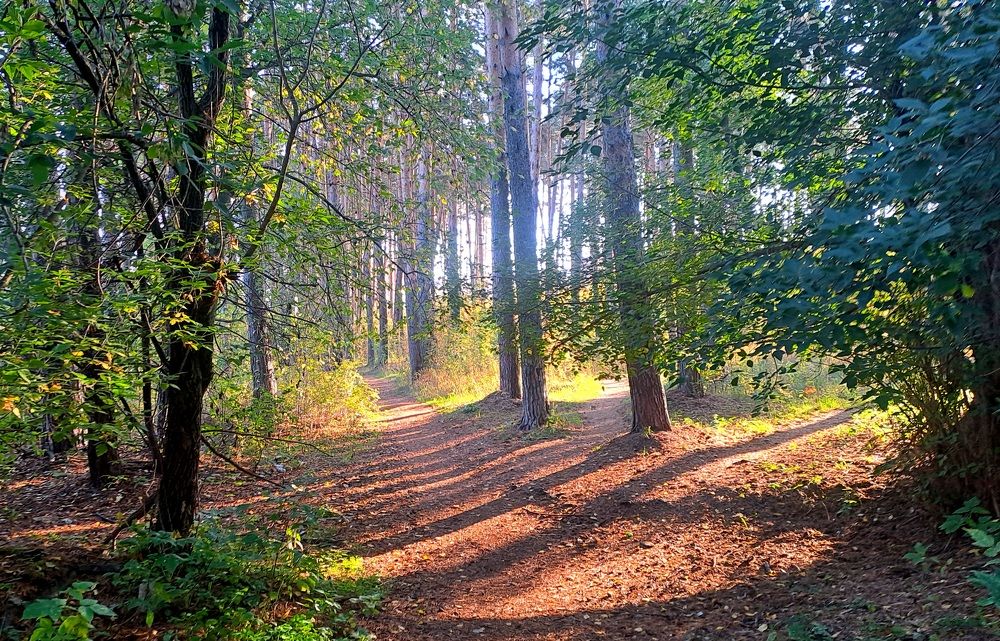 Photograph by Николай Худяков