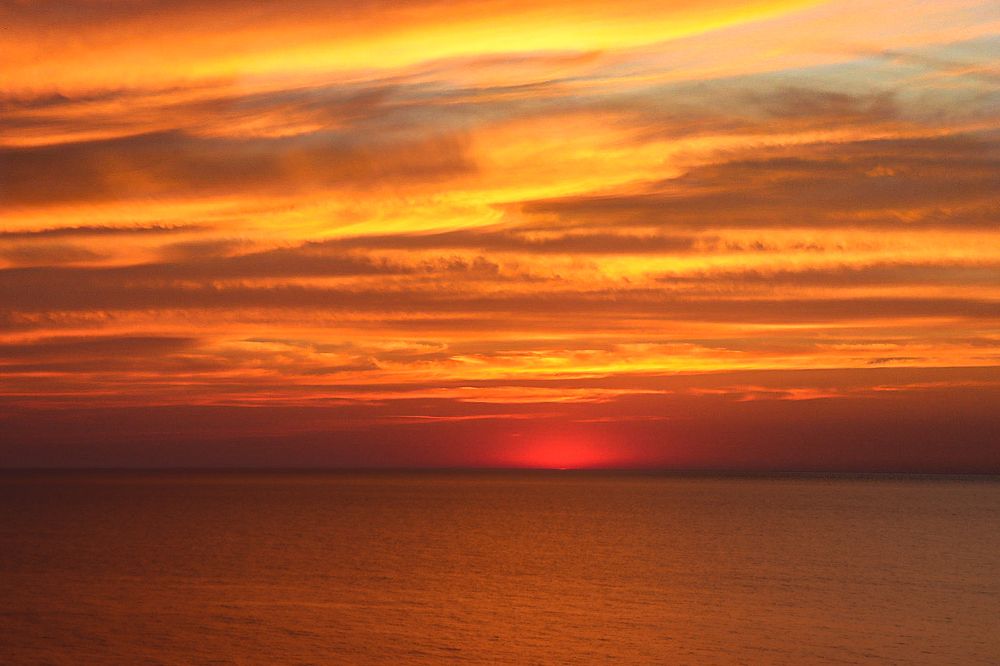 Фотография автора Елена Разина