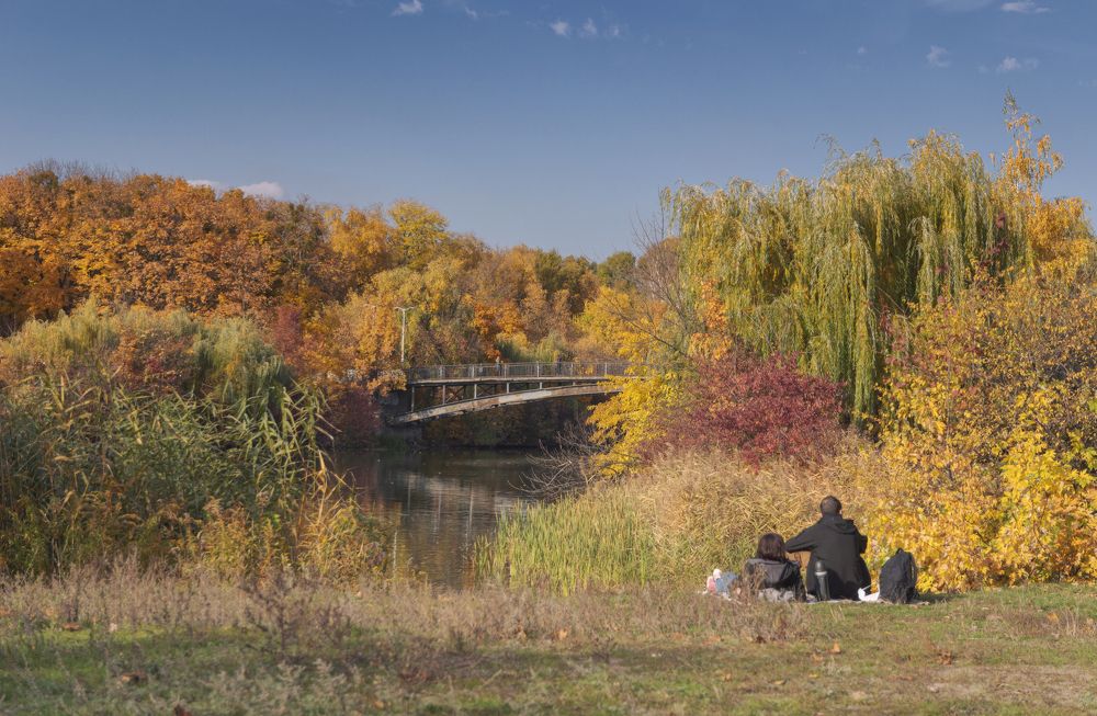 Photograph by Светлана Мельник