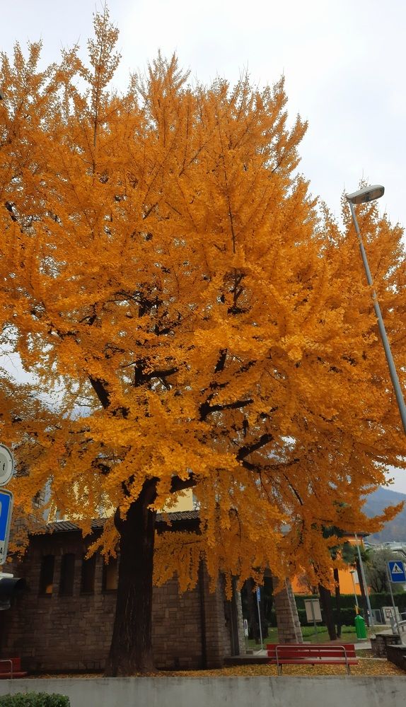 Photograph by Sonia Crotta