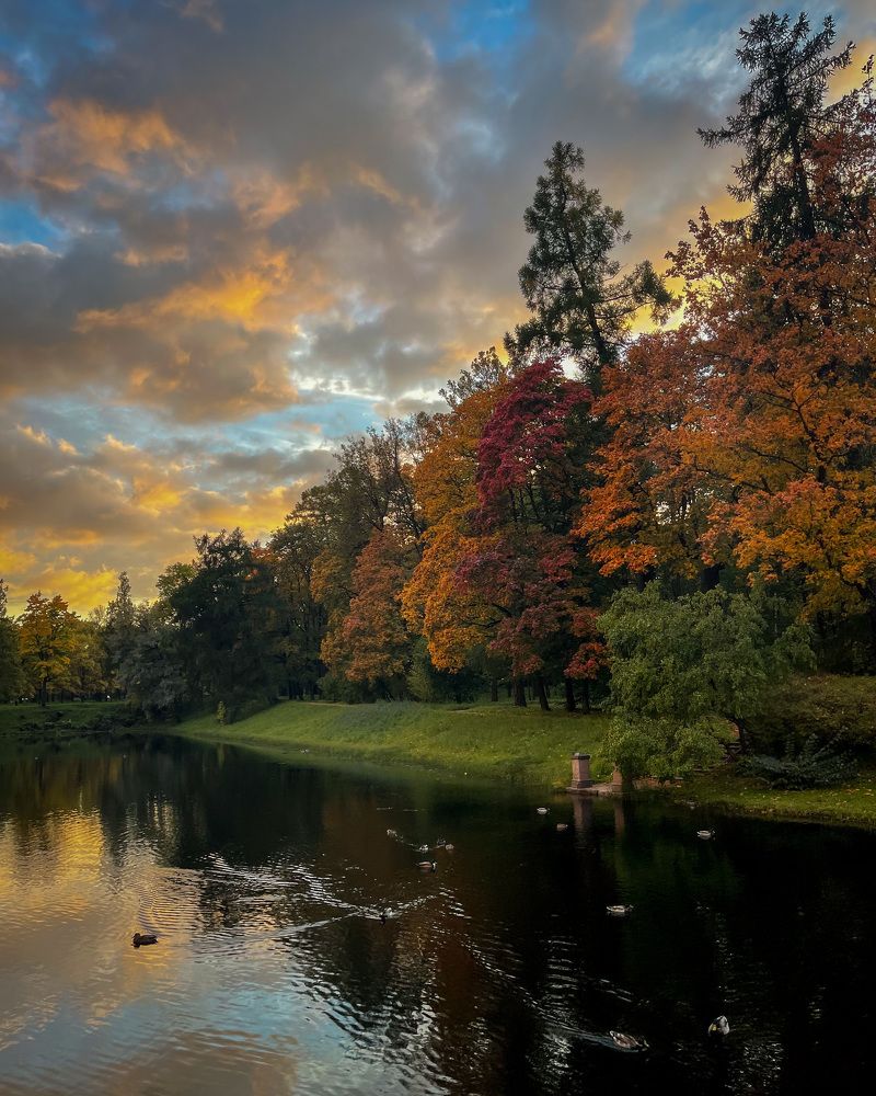 Photograph by Александр Зотов