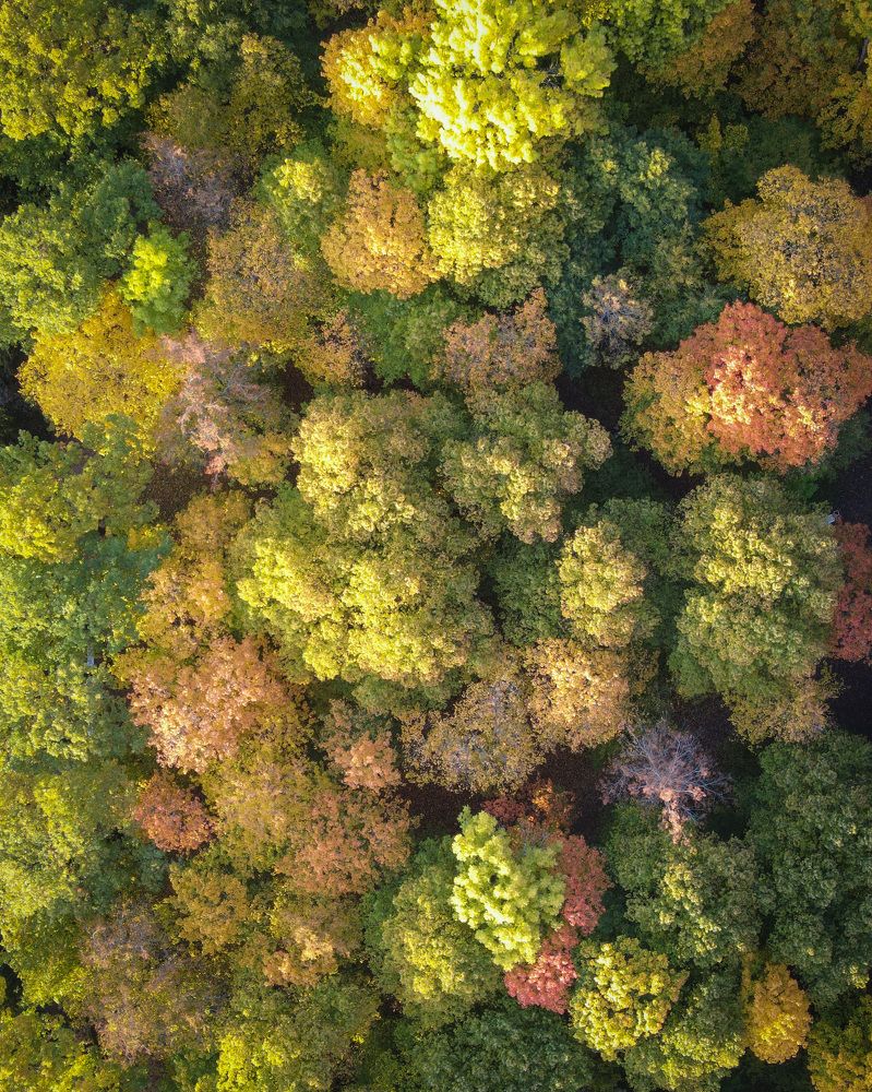 Photograph by Александр Зотов