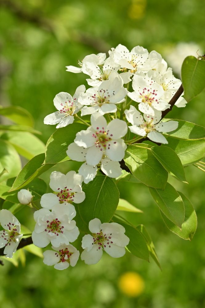 Photograph by Павел Стаценко