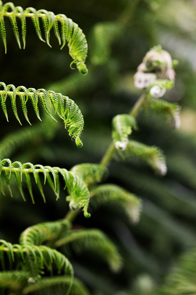 Photograph by Анастасия