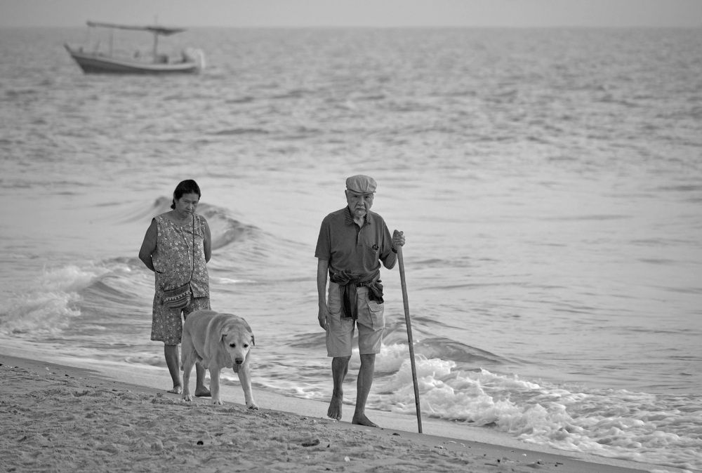 Photograph by Александр Каплан