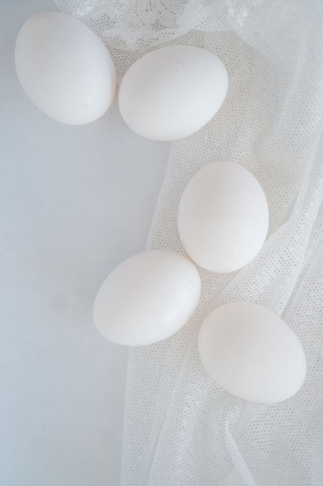 Photograph by Елена Пасажицкая