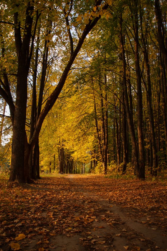 Photograph by Елена Ефимова