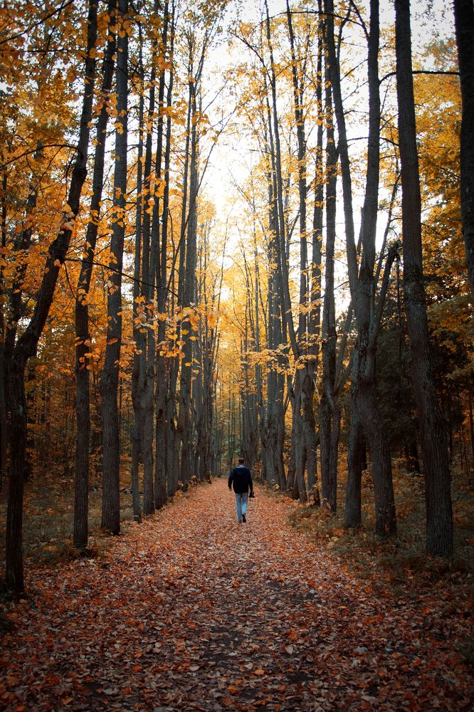 Photograph by Елена Ефимова