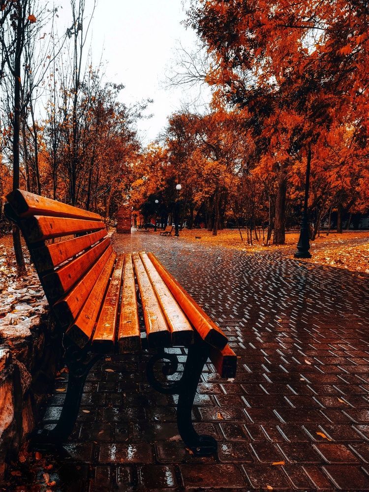 Photograph by Мария Цепилова