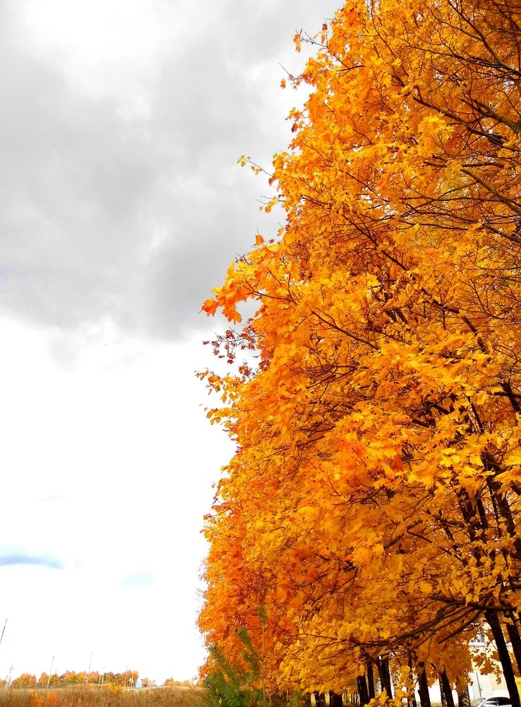 Photograph by Михаил Семёнов