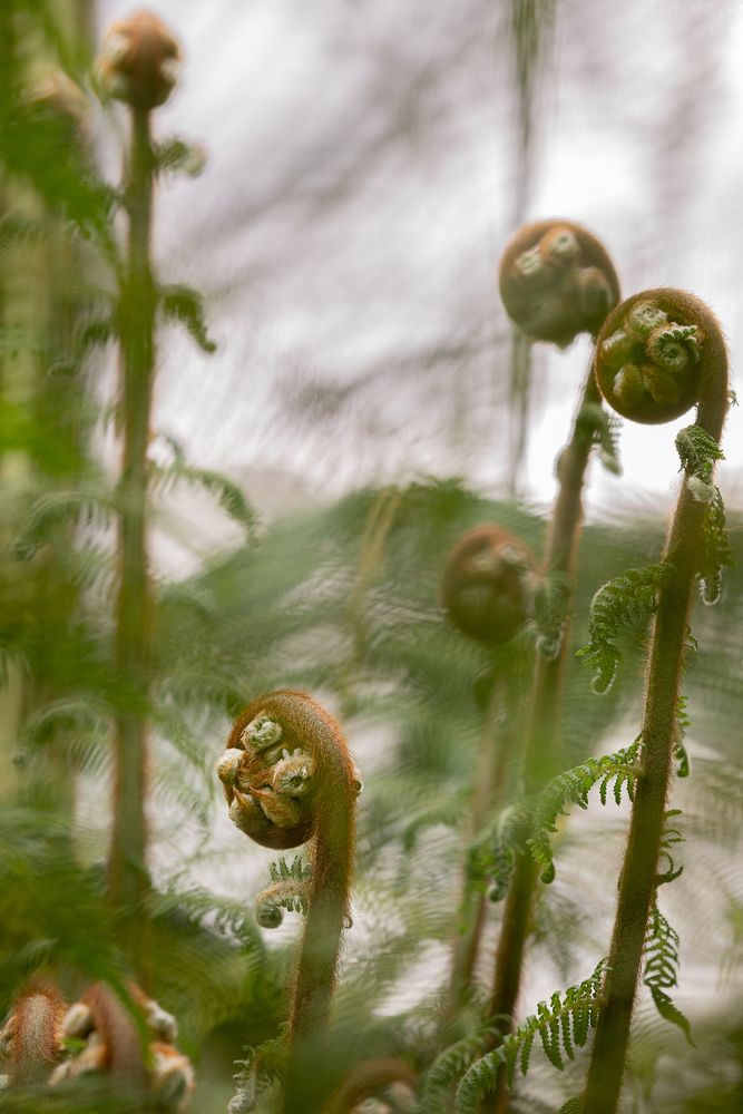 Photograph by Анастасия