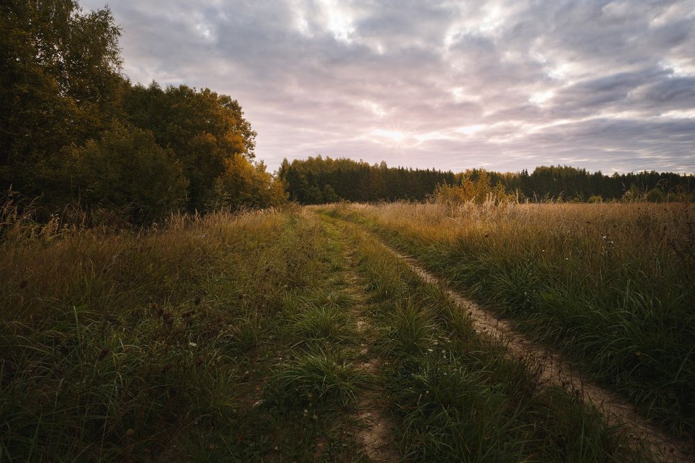 Photograph by Зеленько Дмитрий