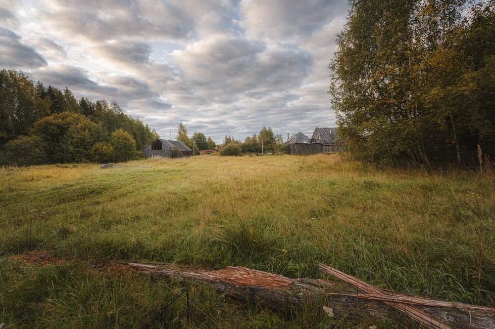 Photograph by Зеленько Дмитрий