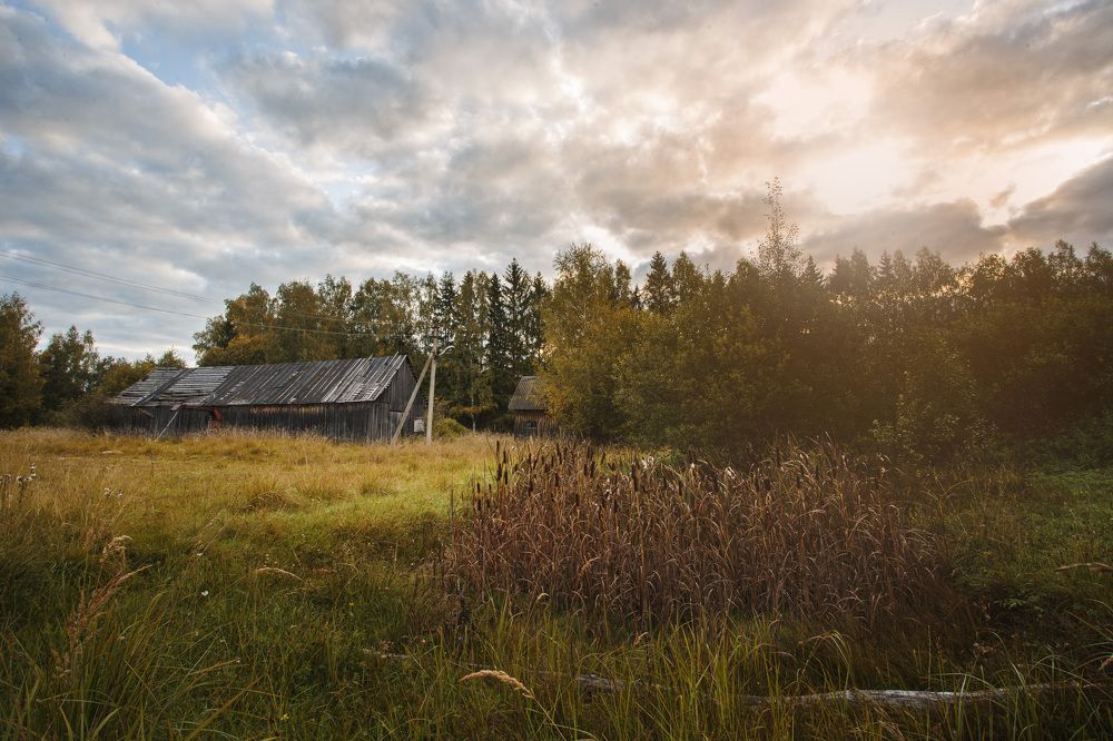 Photograph by Зеленько Дмитрий