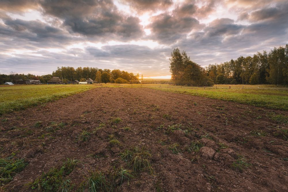 Photograph by Зеленько Дмитрий