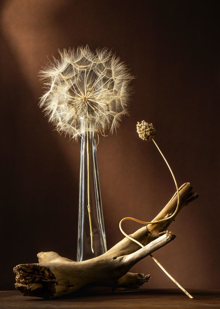 Фотография автора Anna Ilieva-Alikaj