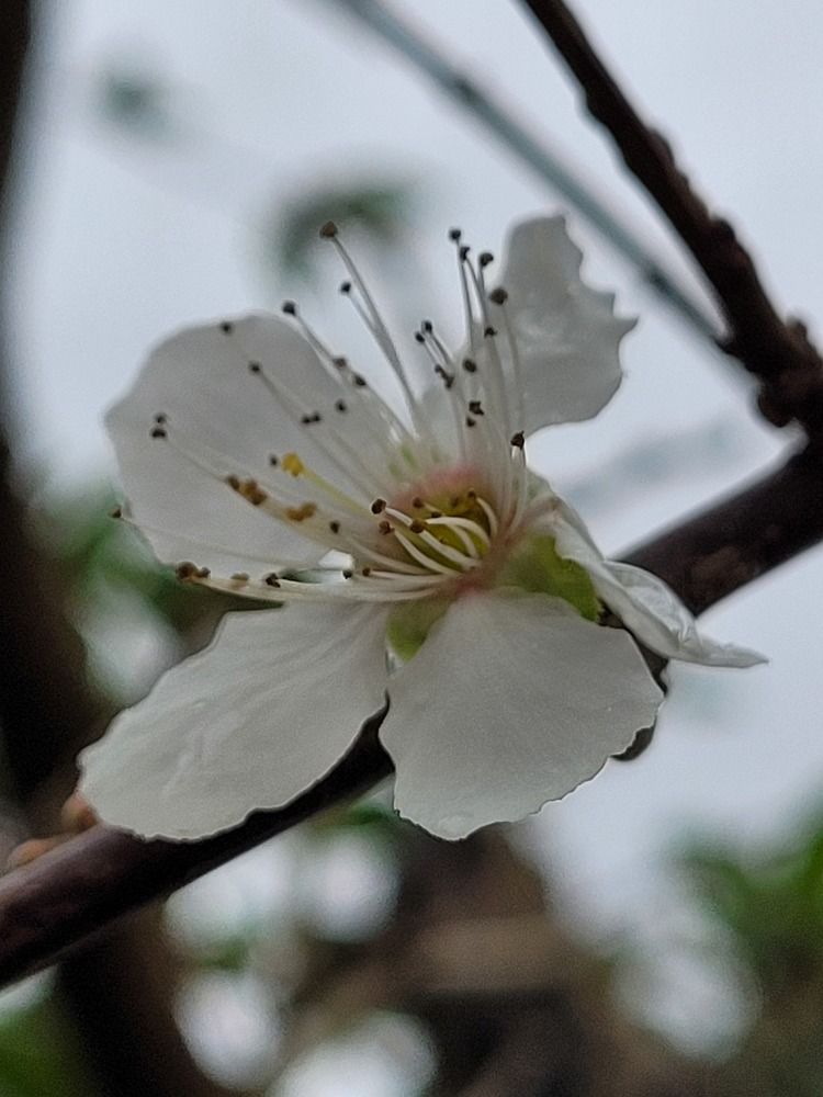 Photograph by Rahele Almassi