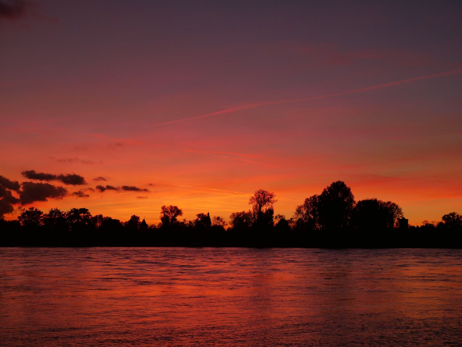 Photo #9569538
