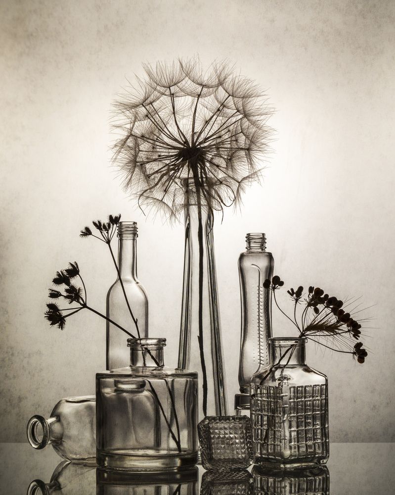 Фотография автора Anna Ilieva-Alikaj