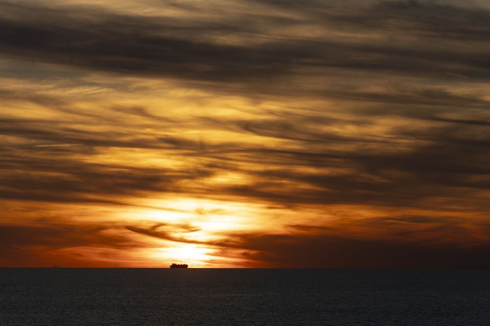 Photograph by Adriana Muñoz