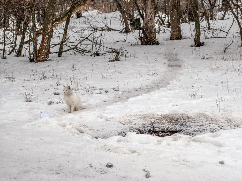Photograph by Степанов Евгений