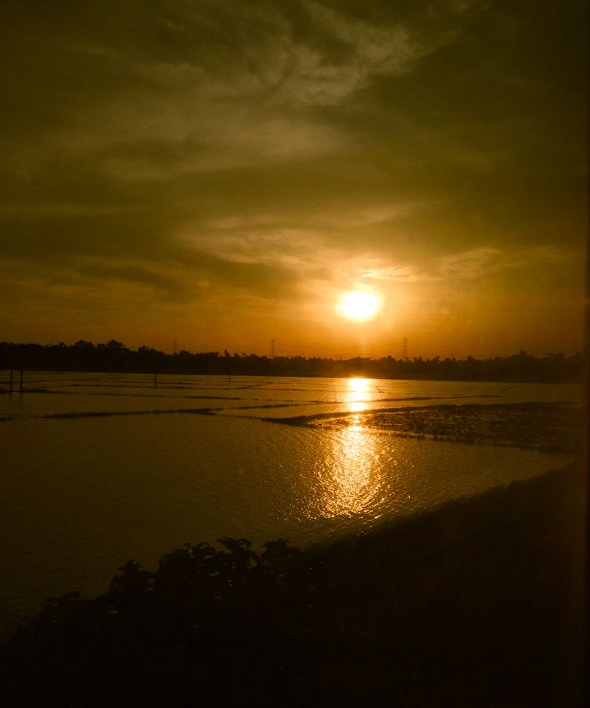 Photograph by Debaditya Roy