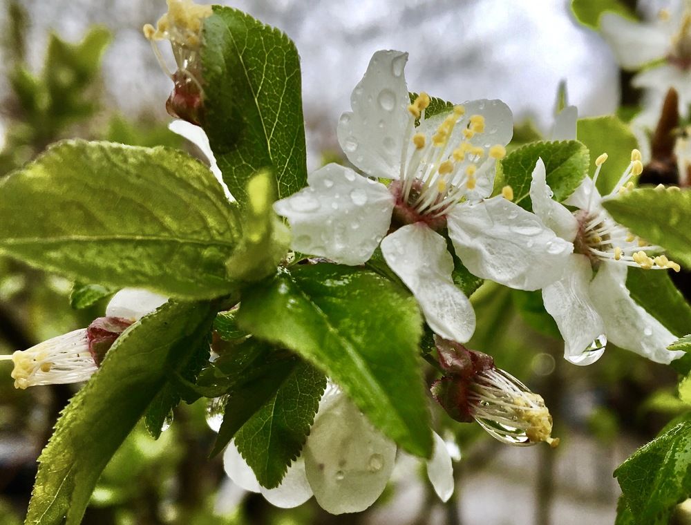 Photograph by Елена Ким