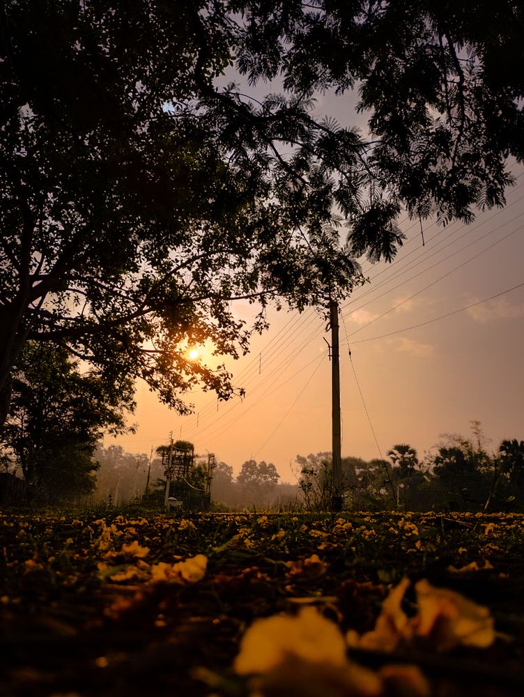 Photograph by Debaditya Roy