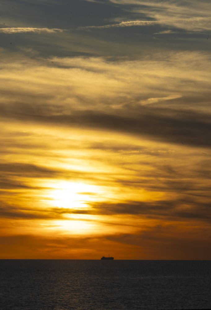 Photograph by Adriana Muñoz