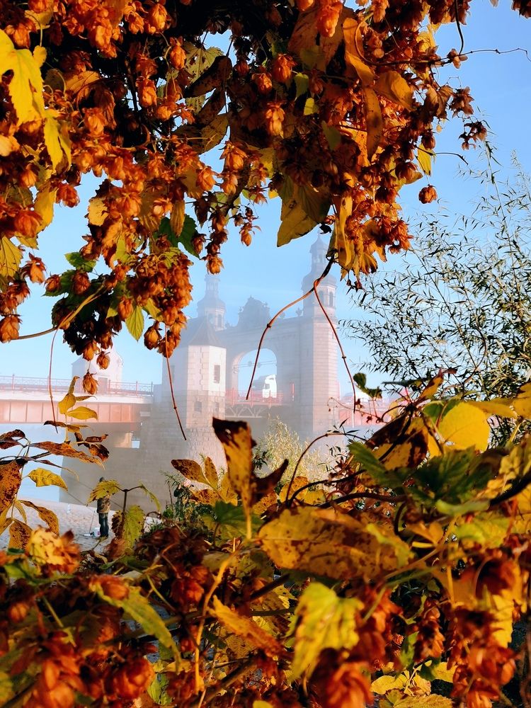 Photograph by Елизавета Лай