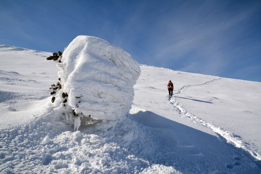 Photograph by Екатерина Крючкова