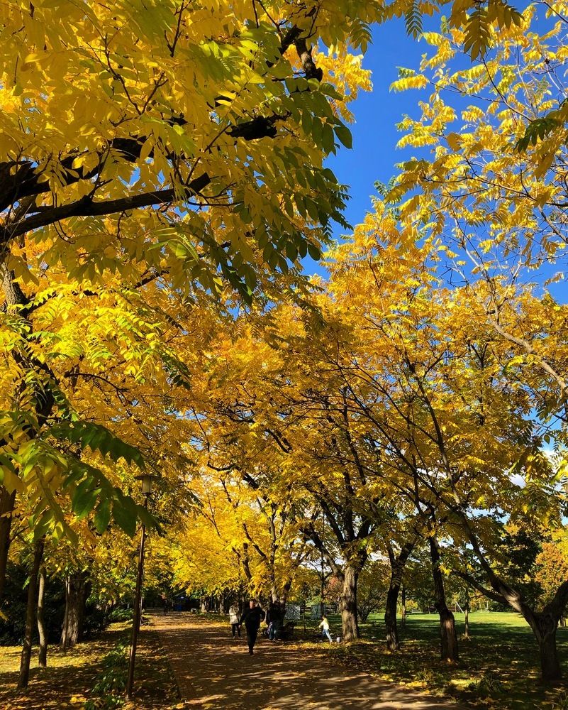 Photograph by Лариса Акинчиц