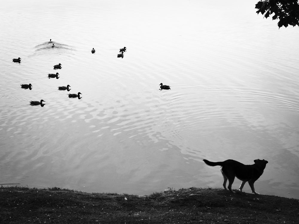 Photograph by Сильвестр