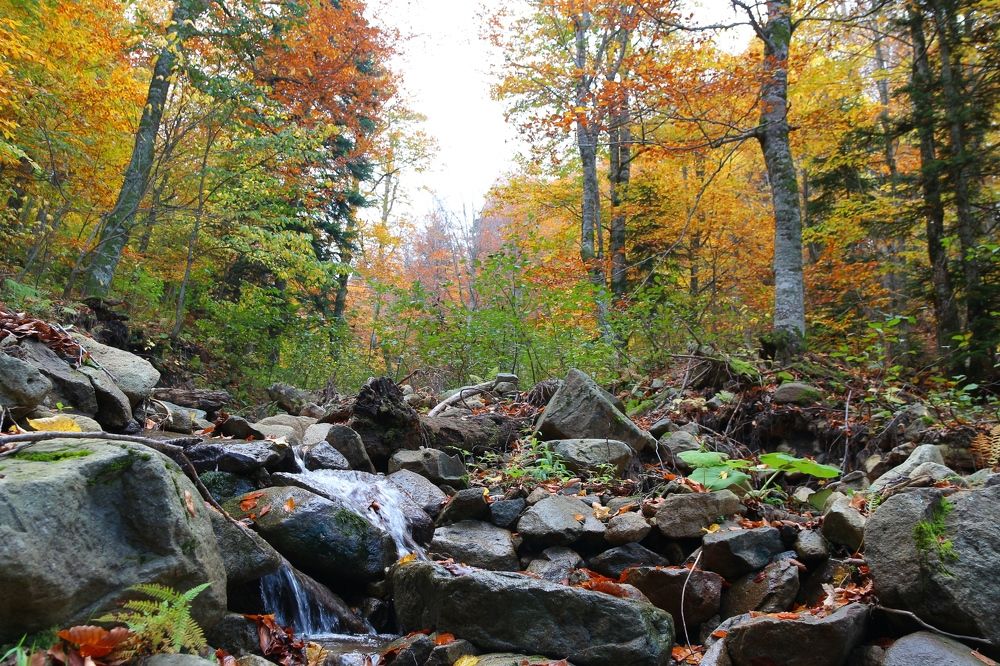 Photograph by Александр Глебов