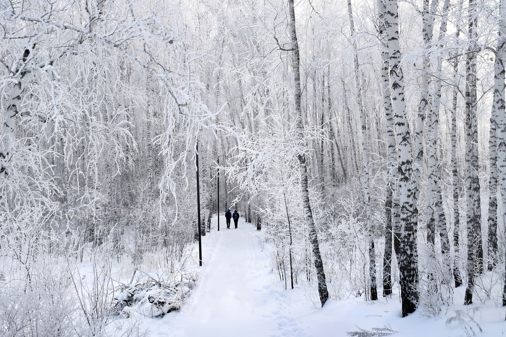 Photograph by Елена Гасенко