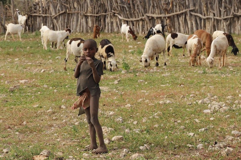 Photograph by Диана Жагрина