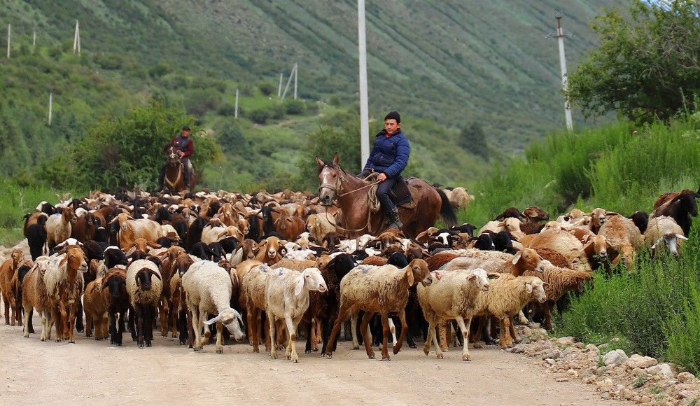 Photograph by Диана Жагрина