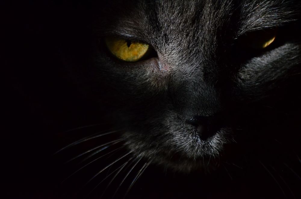 Photograph by Дарья Маркина